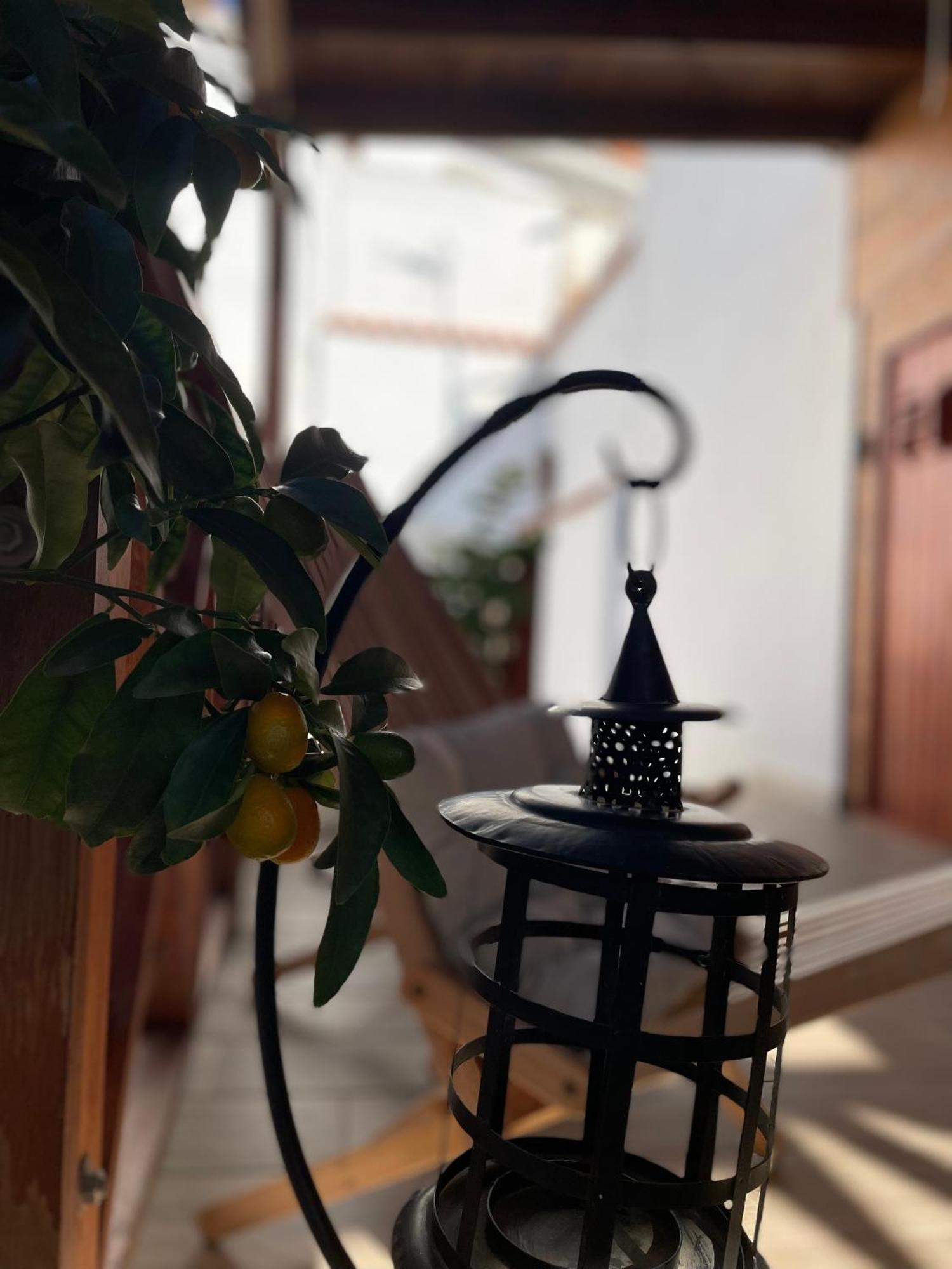 La Villa Del Sastre Велес Экстерьер фото
